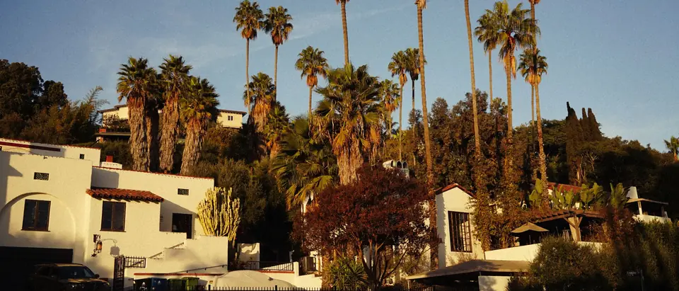 White stucco houses under tall palm trees in Southern California sun