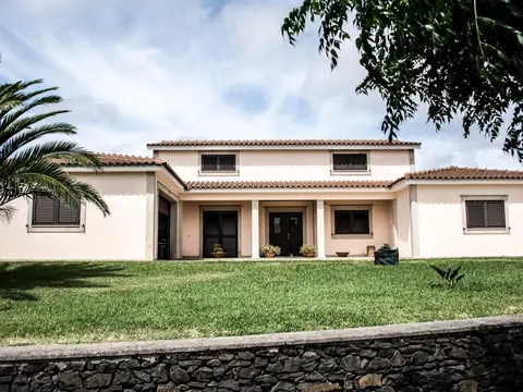 A white stucco house with a palm tree and a green lawn in the sun