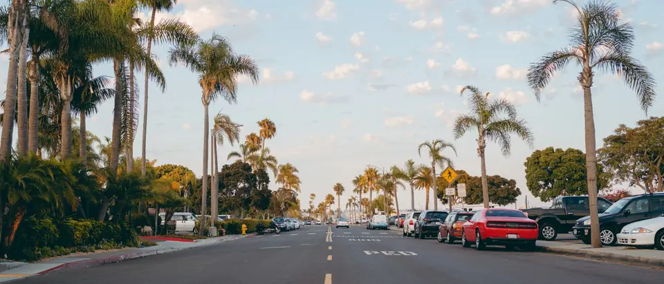 A wide sunny San Diego street lined with palm trees