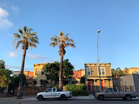 Palm trees and houses along a sunny street