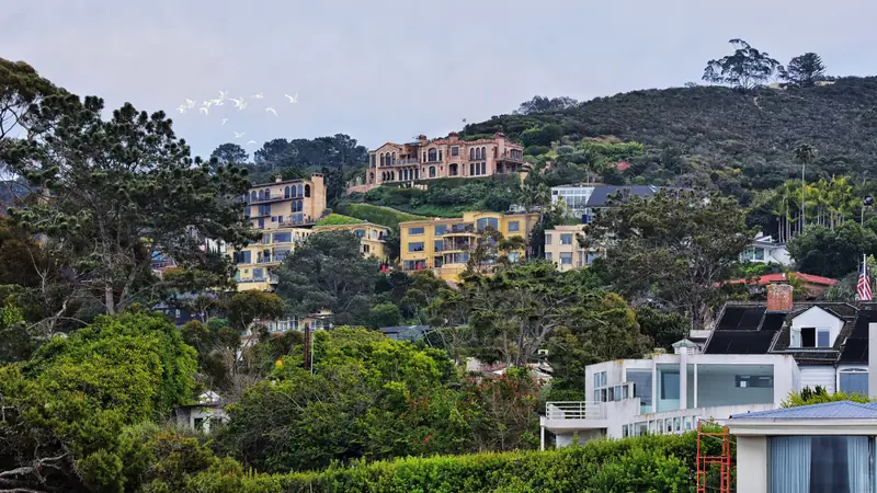 Hillside homes among green trees in San Diego