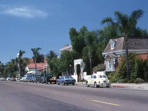 A sunny street of houses under tall palm trees