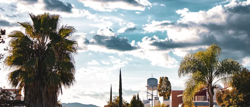 Palm trees and houses under a bright summer sky